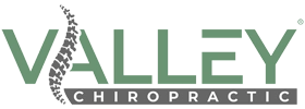 Chiropractic Bakersfield CA Valley Chiropractic Logo